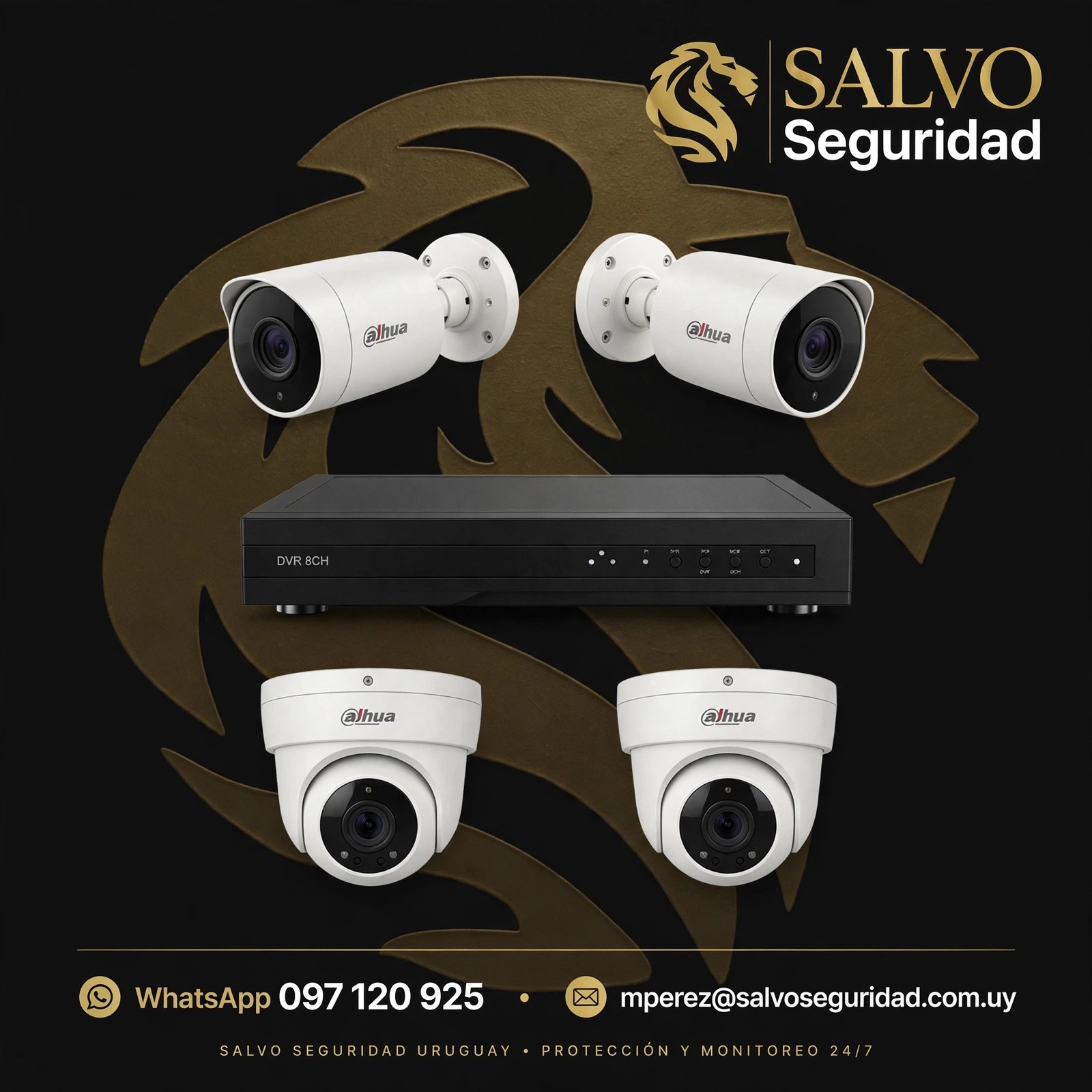 Cámaras de seguridad y grabador Dahua